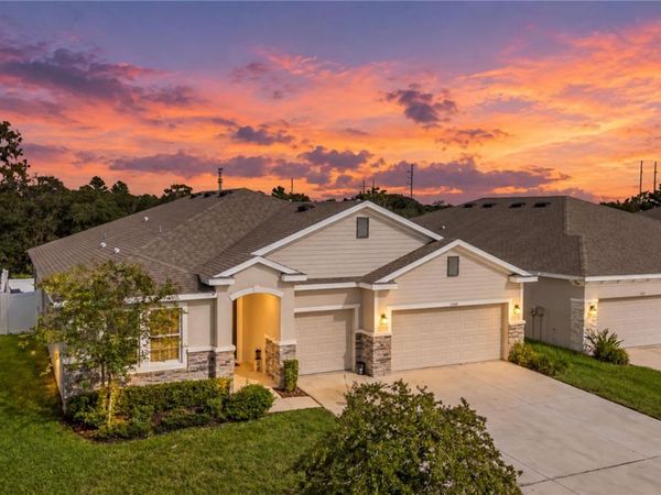 11939 BRIGHTON KNOLL LOOP , RIVERVIEW, FL 33579