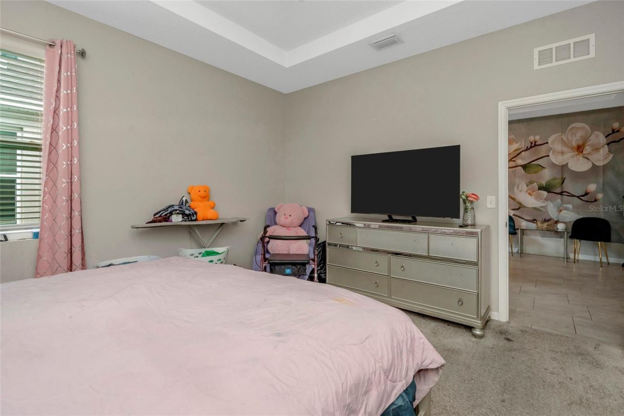 11939 Brighton Knoll Loop , Riverview, FL 33579 Photo