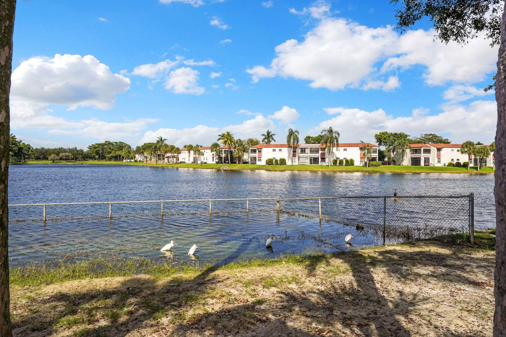 900 Colony Point Circle, Unit 205, Pembroke Pines, FL 33026 Photo