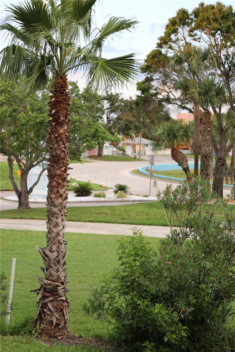 5226 Westshore Drive, New Port Richey, FL 34652 Photo