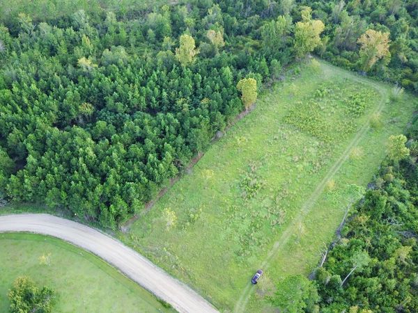 0 Sunflower Lane, Hazlehurst, GA 31539