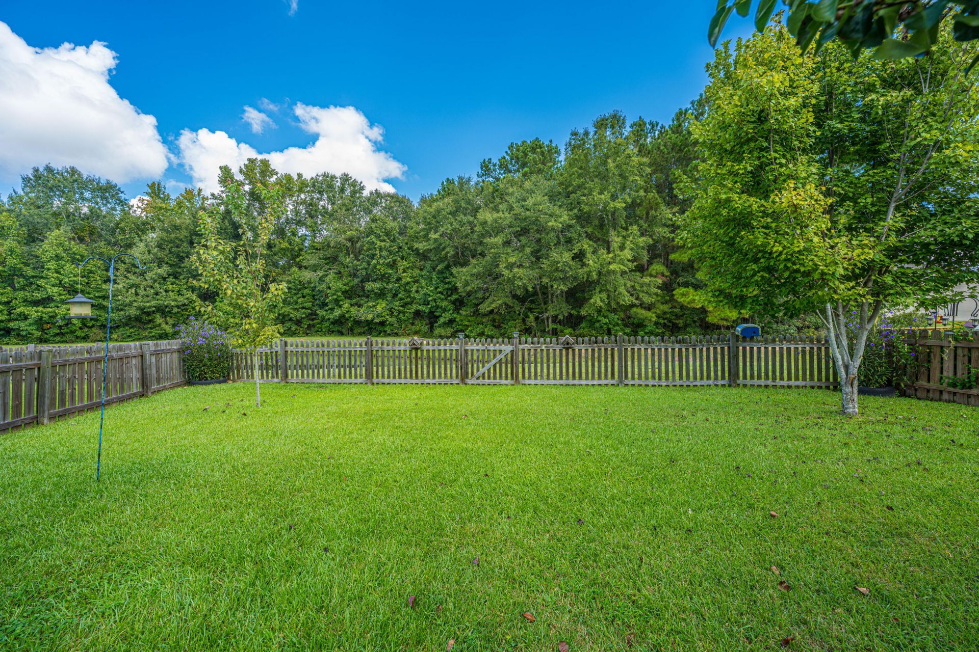 1604 Rising Mist Drive Photo 31