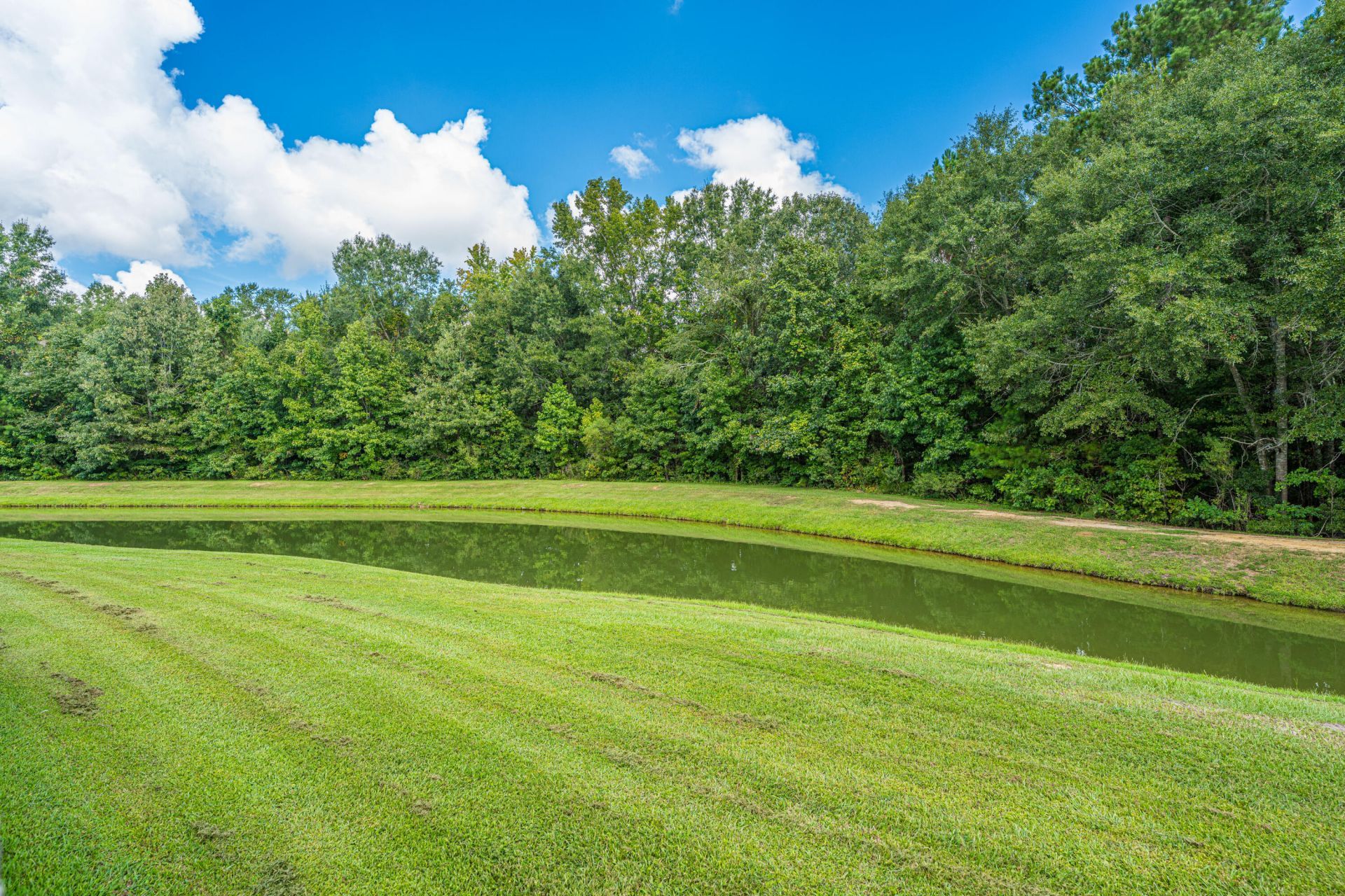 1604 Rising Mist Drive Photo 32