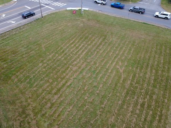 8 S Walnut St , Hohenwald, TN 38462