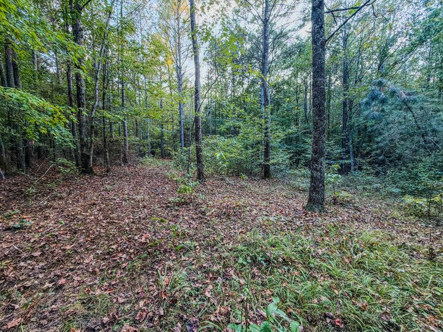 Property Image 64