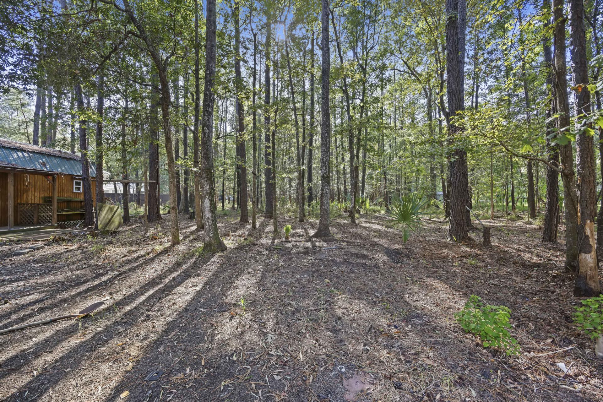 541 Woodspring Road Photo 49