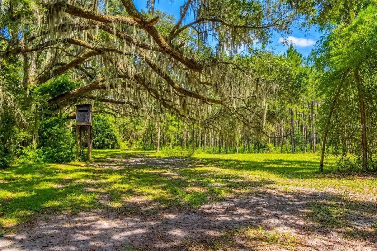 2451 NE 120th Street , Chiefland, FL 32626 Photo