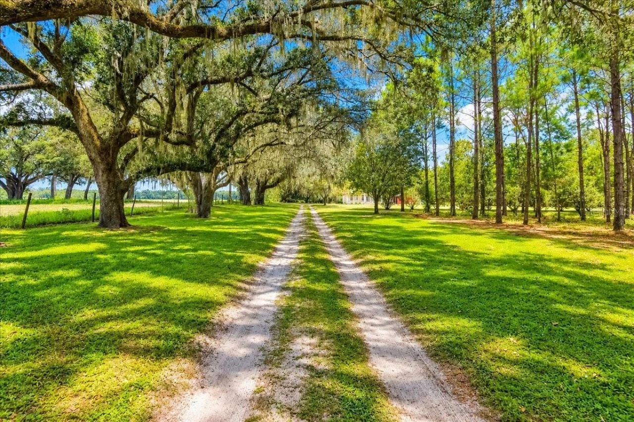 2451 NE 120th Street , Chiefland, FL 32626 Photo