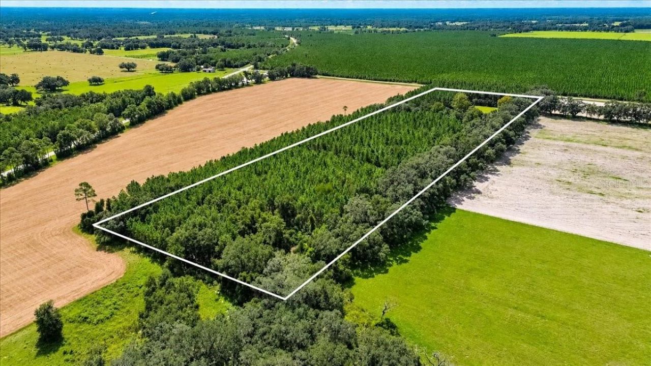 2451 NE 120th Street , Chiefland, FL 32626 Photo