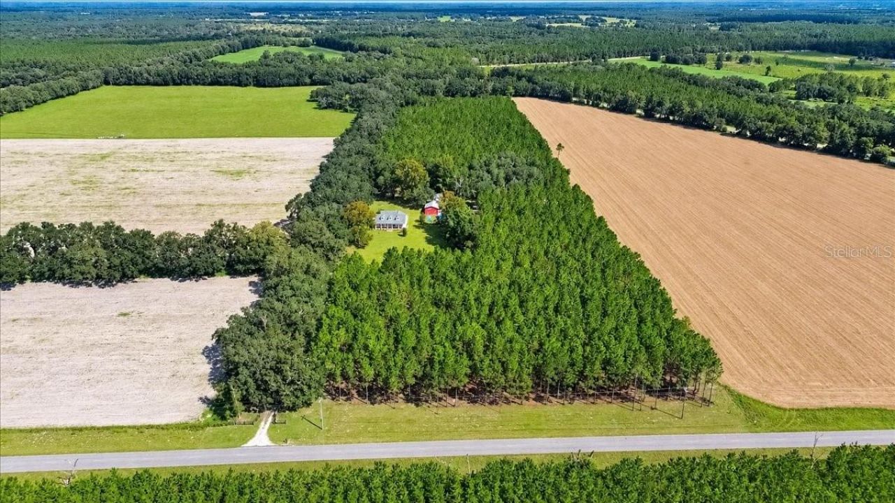 2451 NE 120th Street , Chiefland, FL 32626 Photo