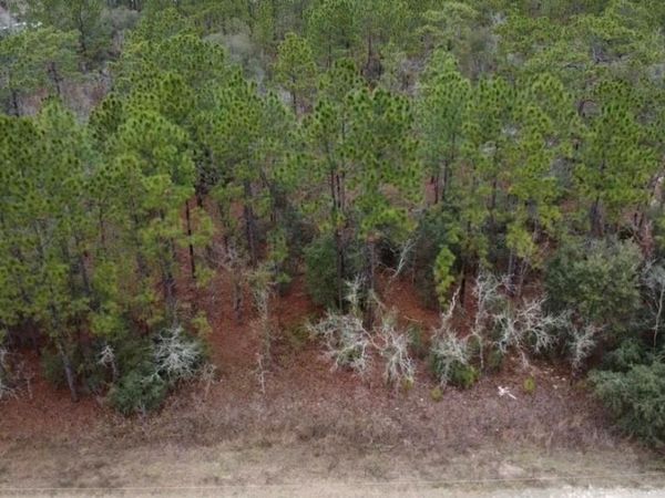 TBD SW 91ST LANE , DUNNELLON, FL 34432