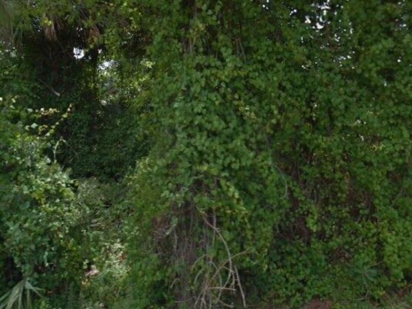 67 RADCLIFFE DRIVE , PALM COAST, FL 32164