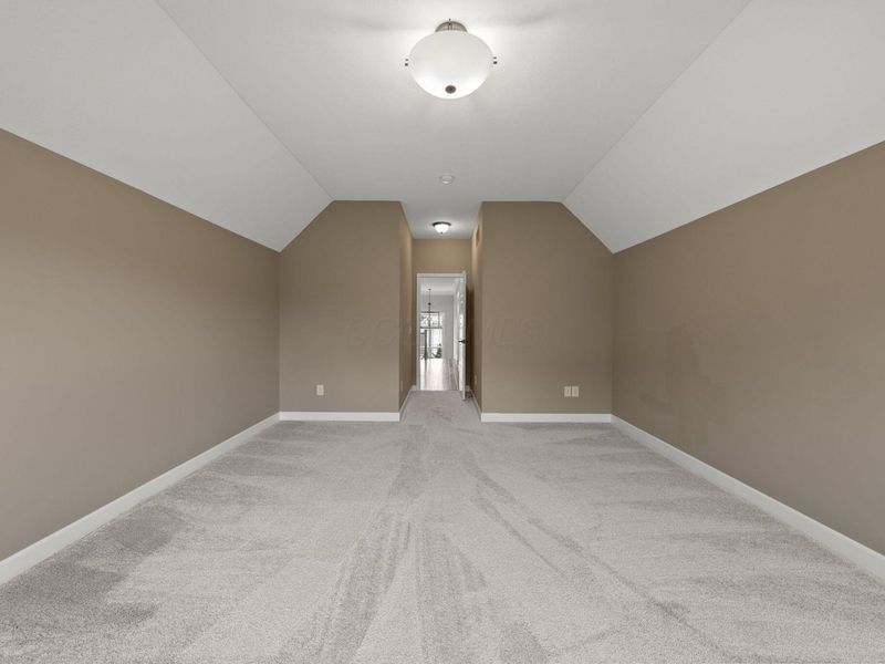 1133 Rambling Brook Way, Delaware, OH 43015 Photo 47