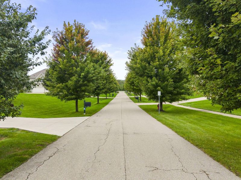 1133 Rambling Brook Way, Delaware, OH 43015 Photo 76