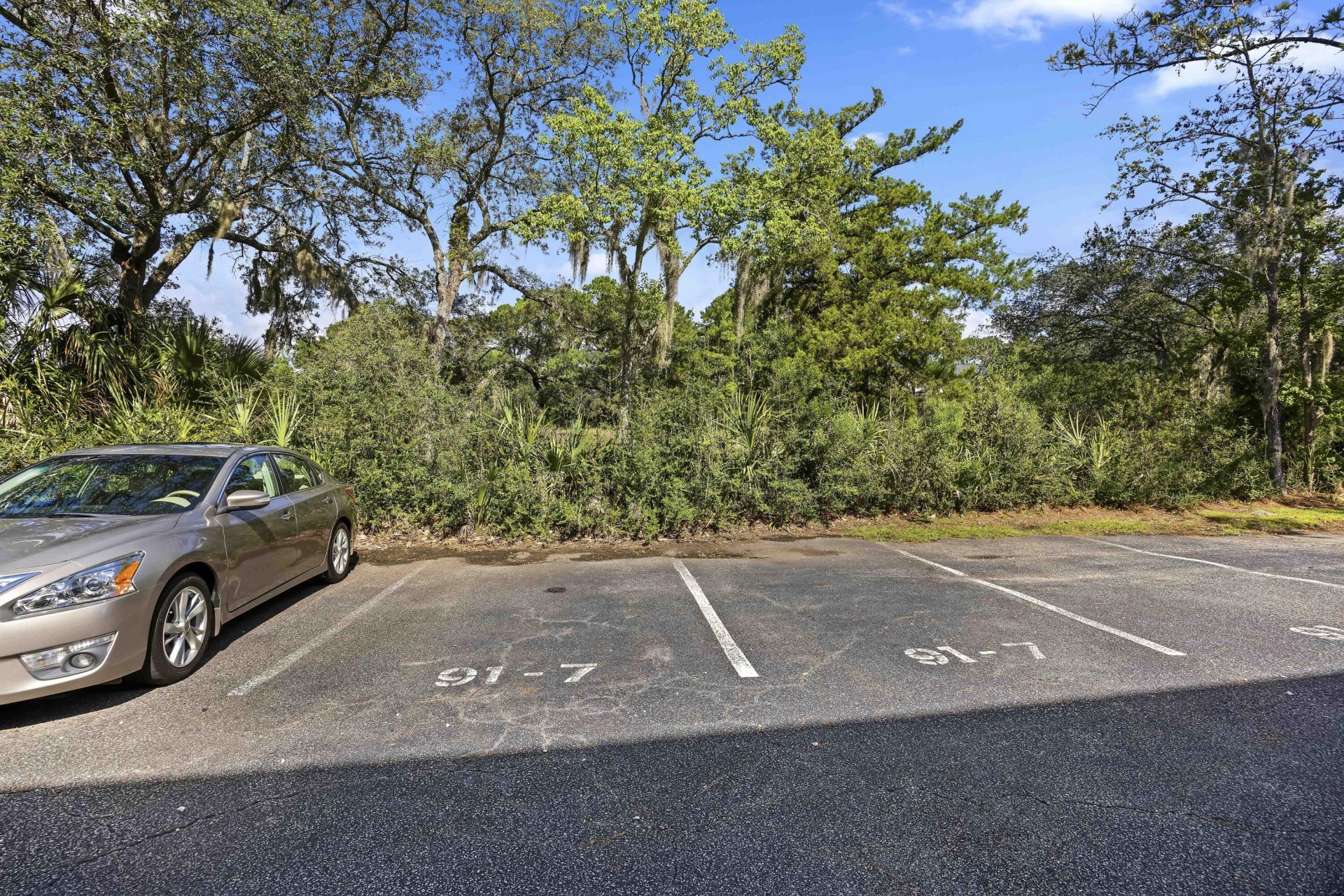 91 Ashley Hall Plantation Road Photo 20