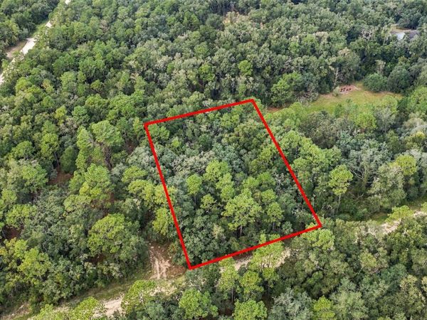 ELAINE DRIVE , WEBSTER, FL 33597
