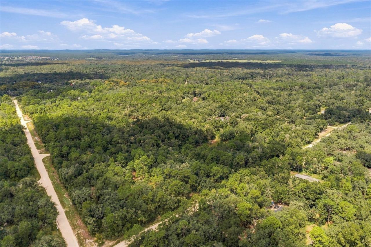 Elaine Drive , Webster, FL 33597 Photo