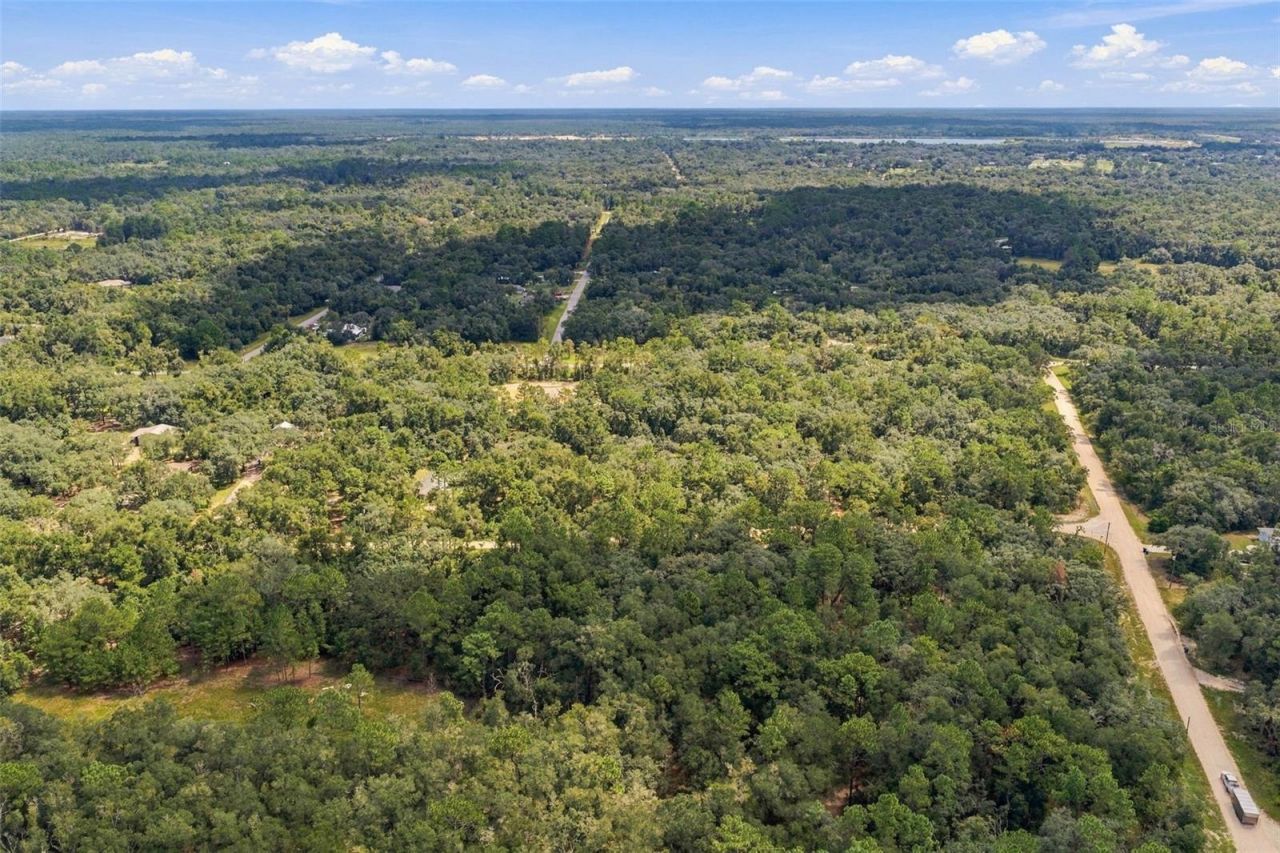Elaine Drive , Webster, FL 33597 Photo