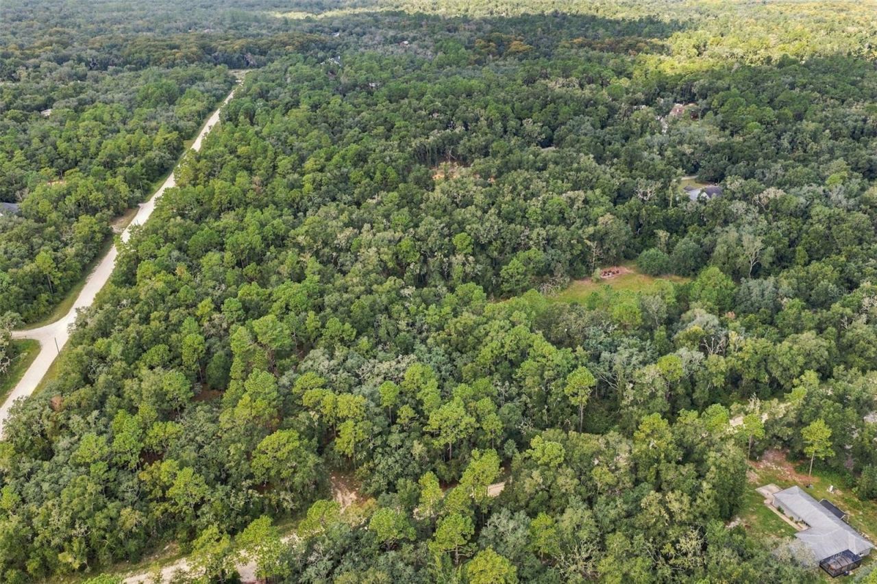 Elaine Drive , Webster, FL 33597 Photo