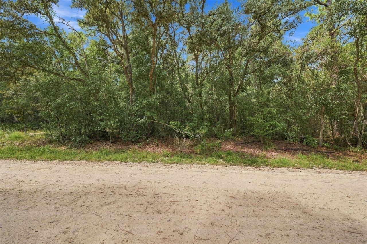 Elaine Drive , Webster, FL 33597 Photo