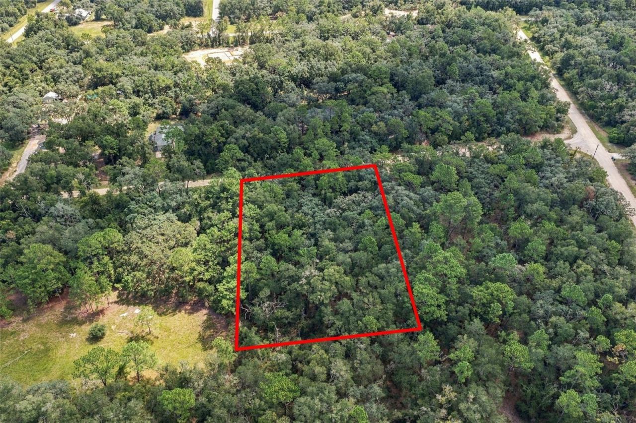 Elaine Drive , Webster, FL 33597 Photo