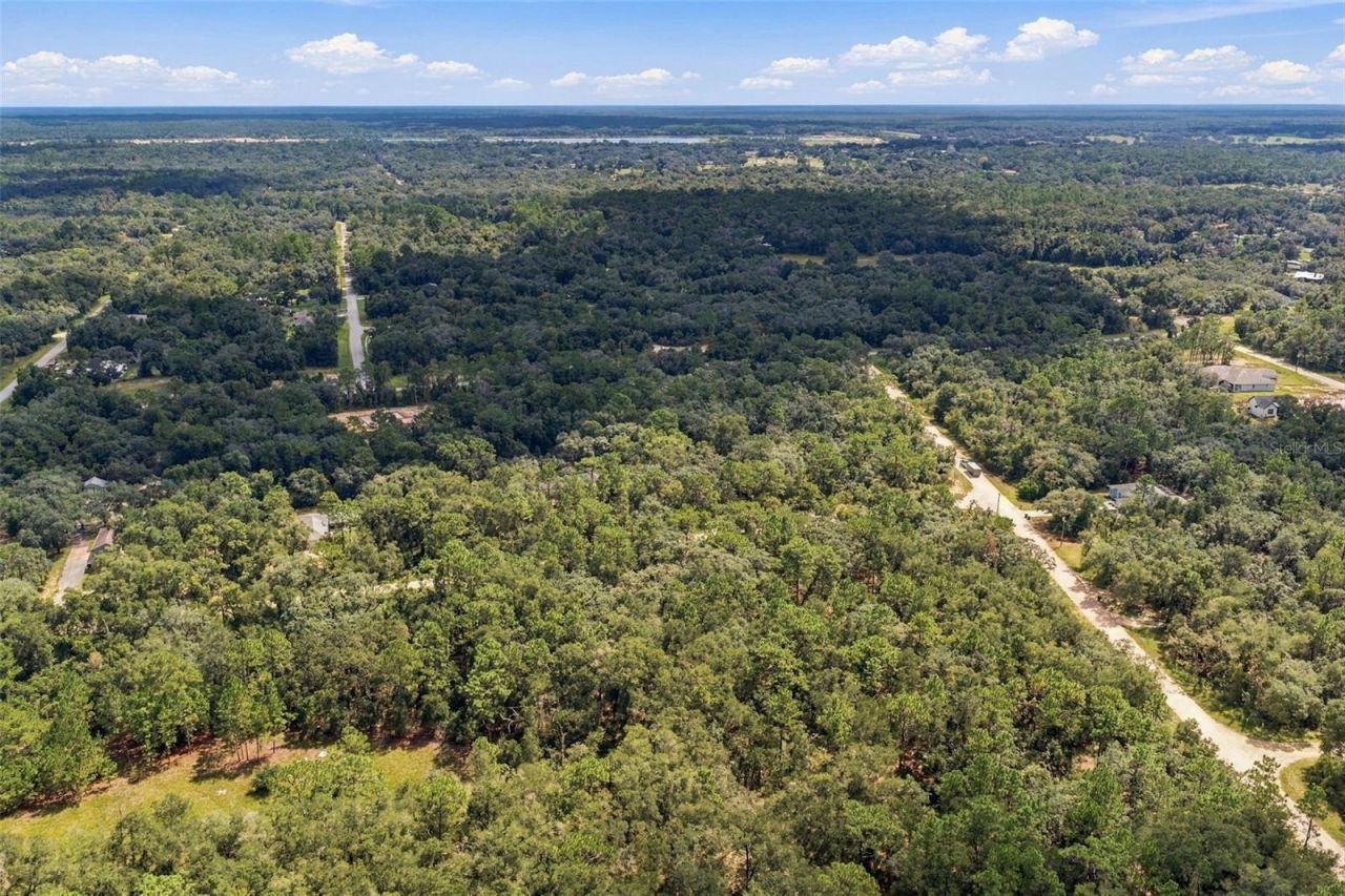 Elaine Drive , Webster, FL 33597 Photo