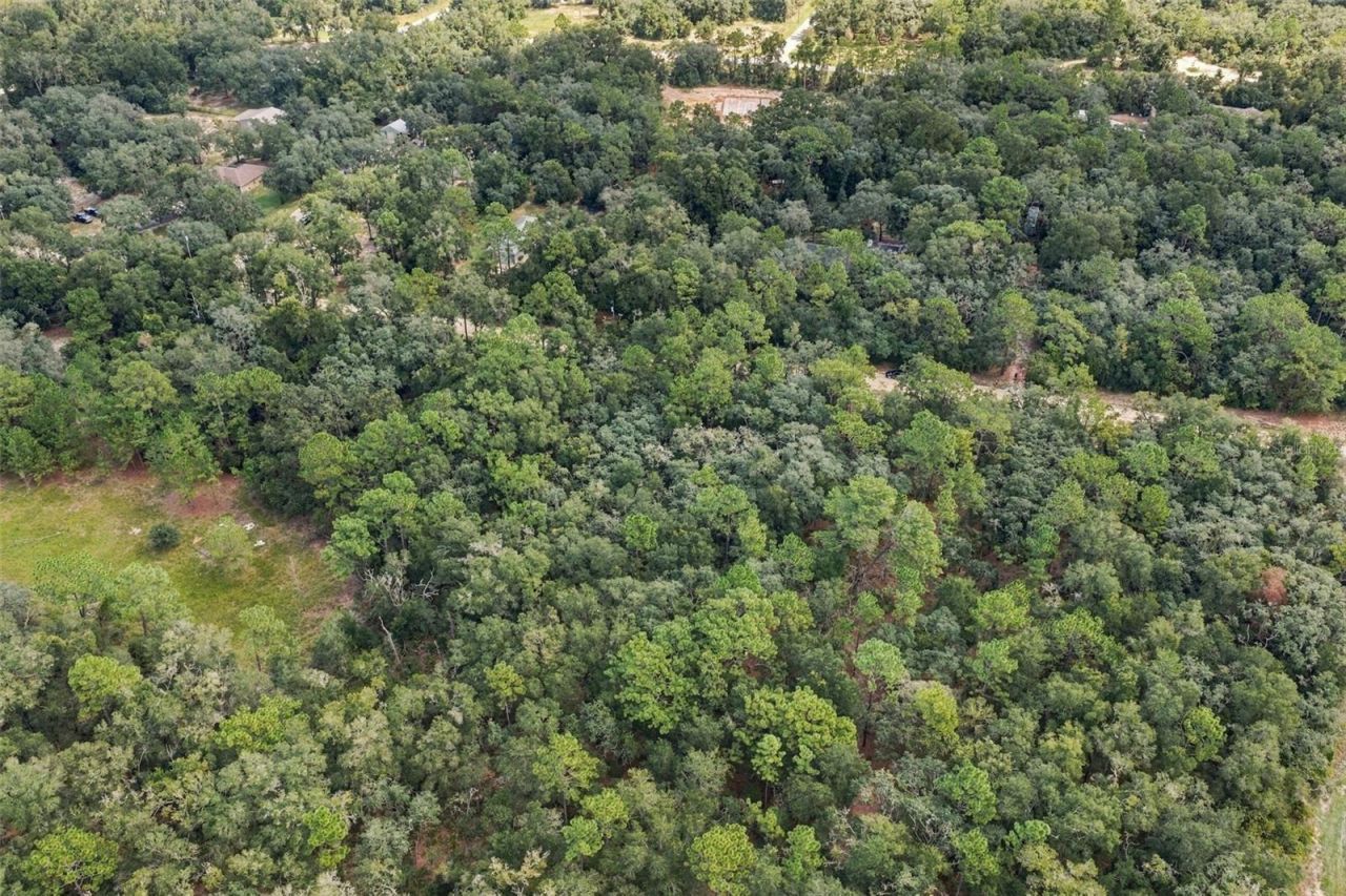 Elaine Drive , Webster, FL 33597 Photo