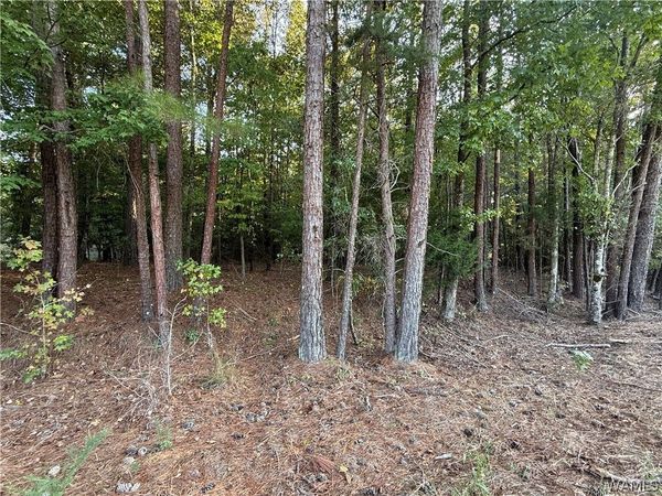 15149 Wire Rd , Cottondale, AL 35453