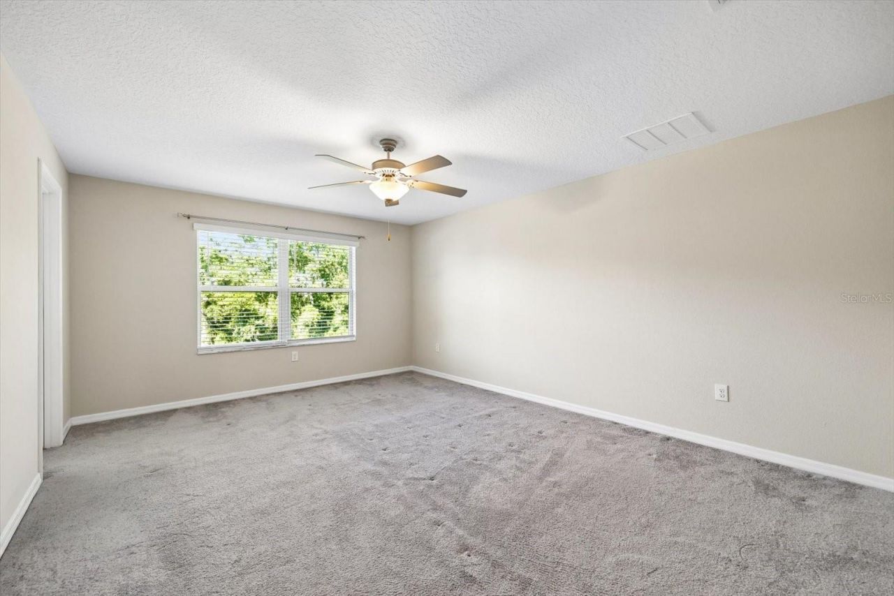 8519 Reedville Street, New Port Richey, FL 34654 Photo