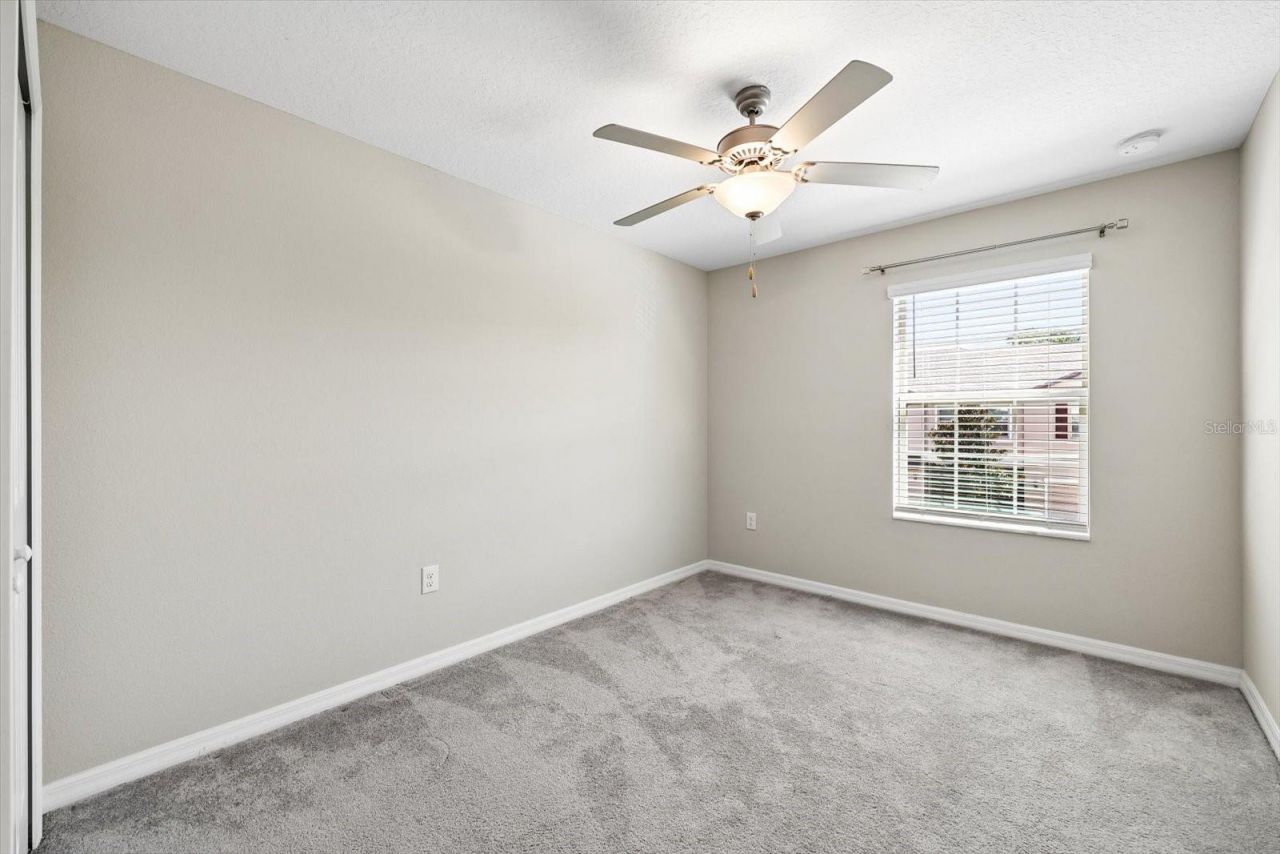 8519 Reedville Street, New Port Richey, FL 34654 Photo