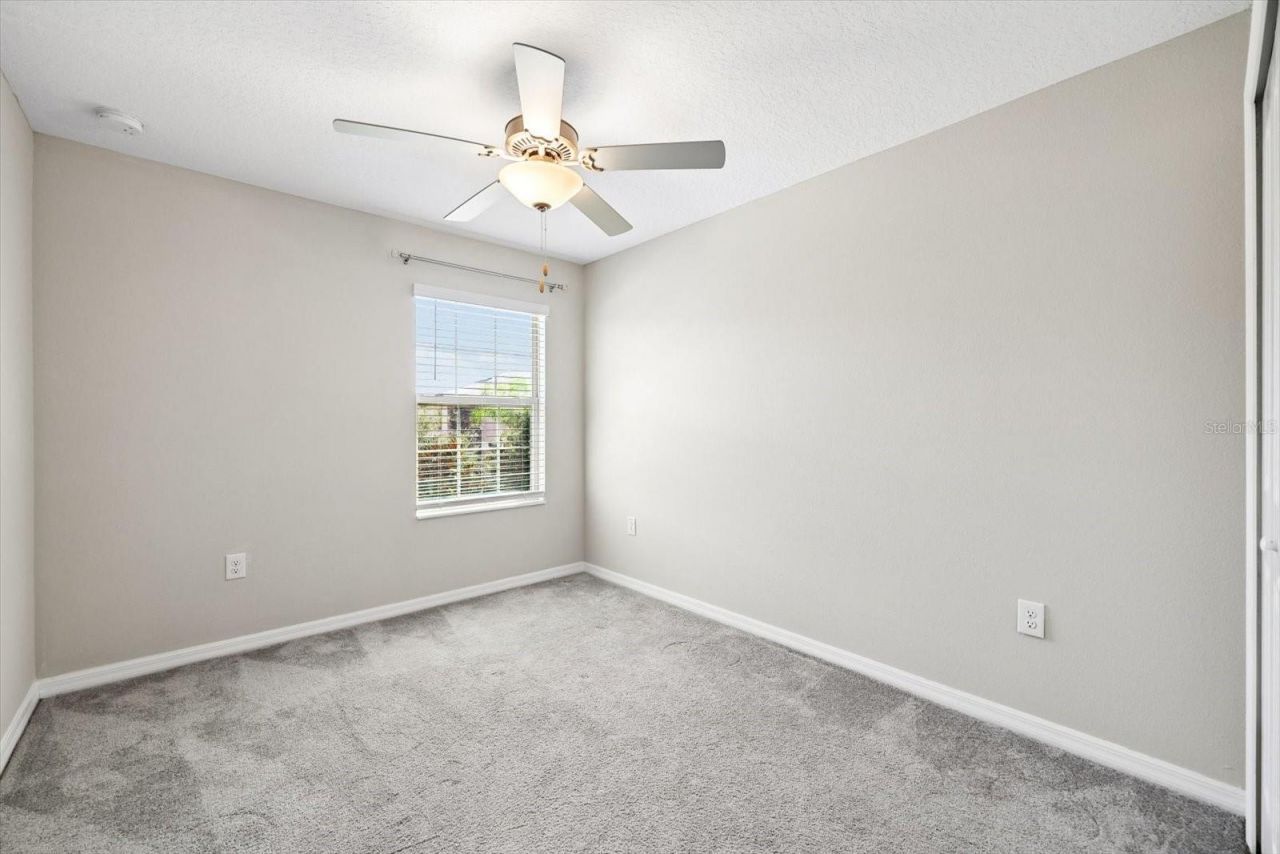 8519 Reedville Street, New Port Richey, FL 34654 Photo