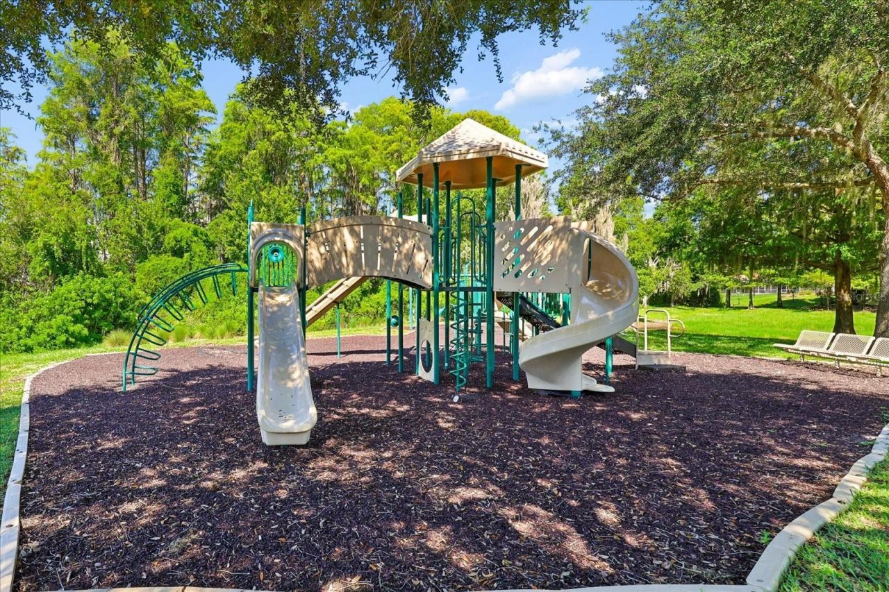 8519 Reedville Street, New Port Richey, FL 34654 Photo
