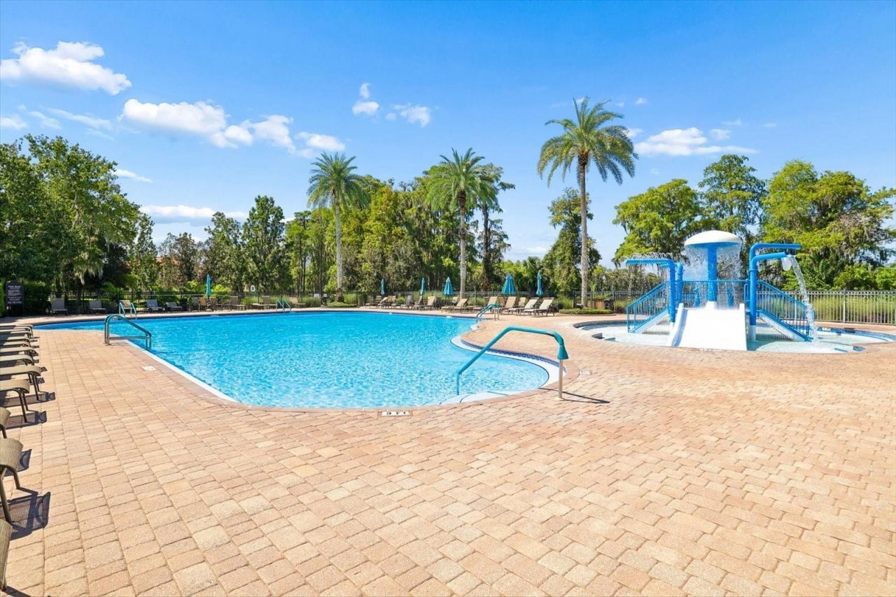 8519 Reedville Street, New Port Richey, FL 34654 Photo