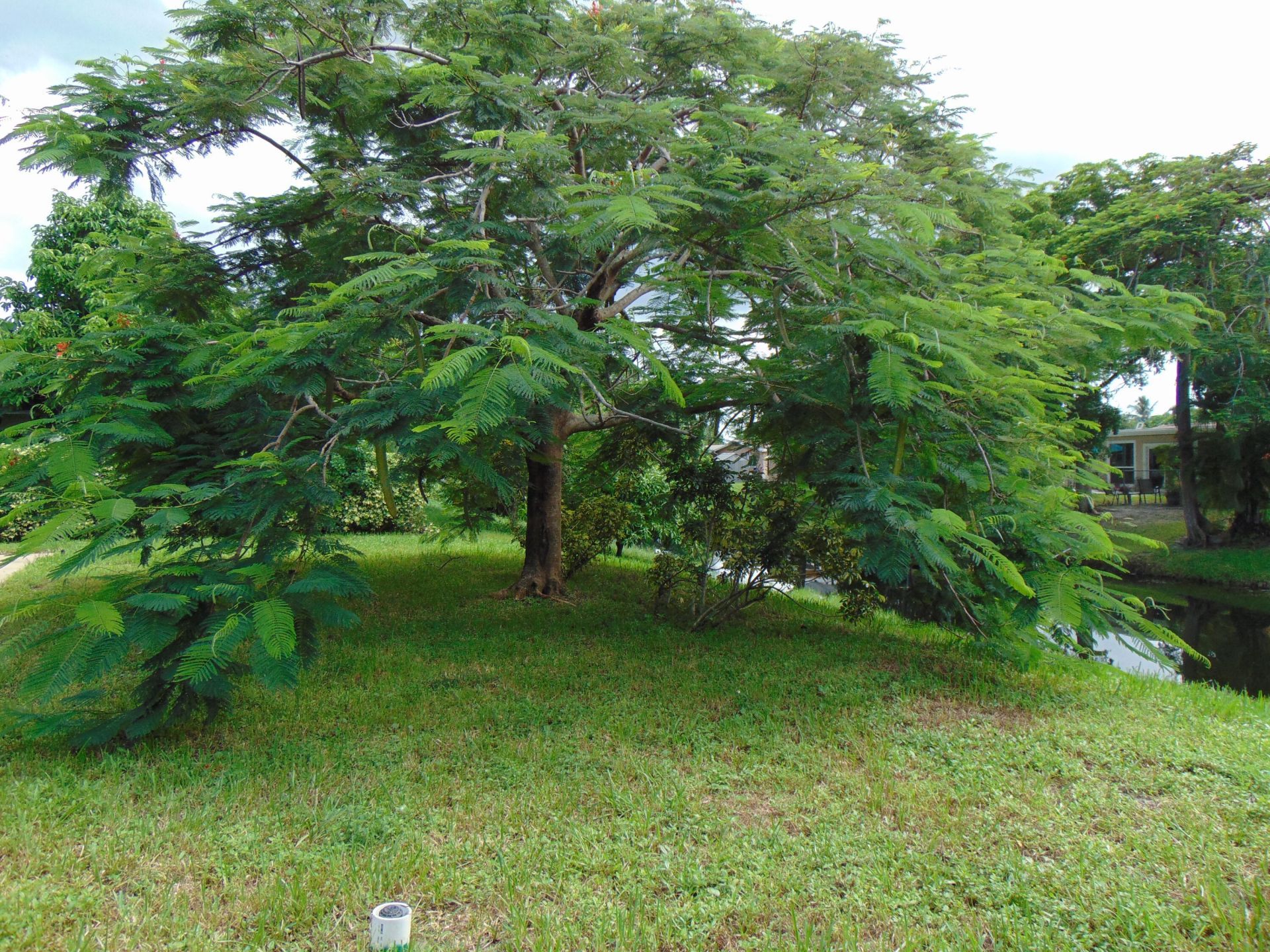6854 NW 3rd Street, Margate, FL 33063 Photo