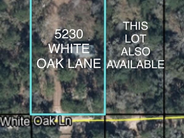 5230 WHITE OAK Lane, Middleburg, FL 32068