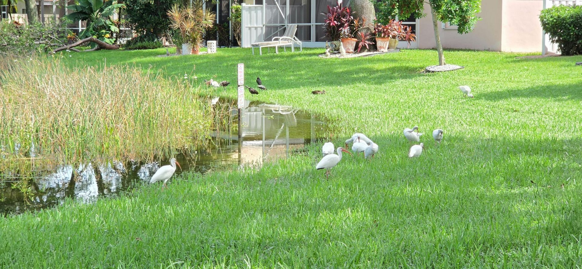 7299 Lugano Drive, Boynton Beach, FL 33437 Photo