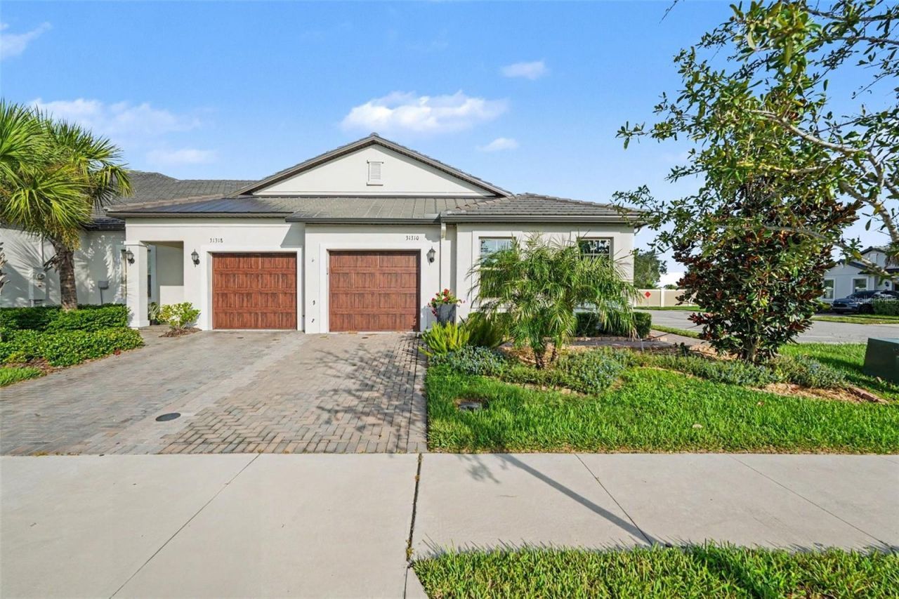 31310 Cabana Rye Avenue, San Antonio, FL 33576 Main Photo