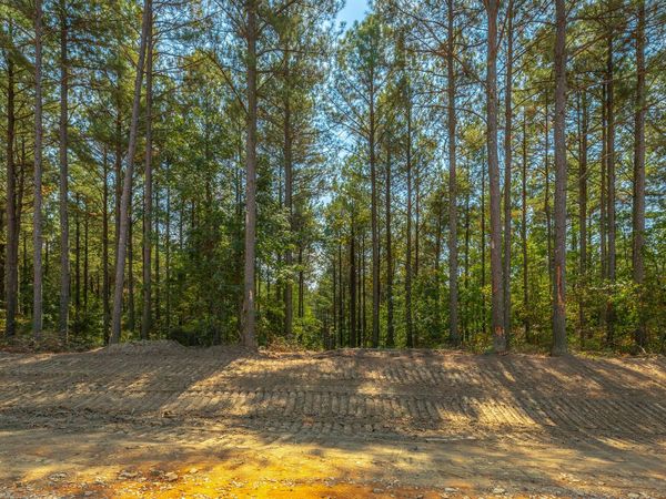 0 Constellation Court, Guild, TN 37340