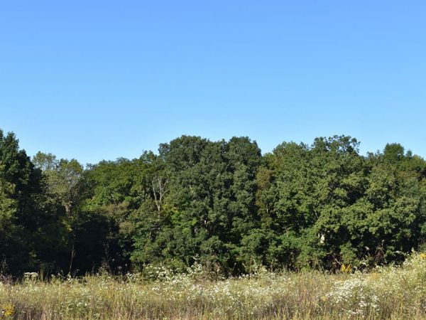 0 Sinking Springs Road, Brushcreek Twp, OH 45133