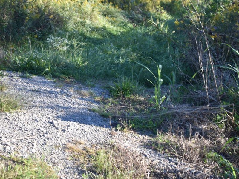 0 Sinking Springs Road, Brushcreek Township, OH 45133 Photo 3