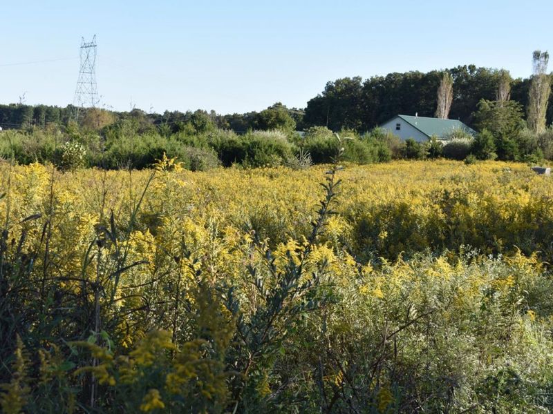 0 Sinking Springs Road, Brushcreek Township, OH 45133 Photo 4