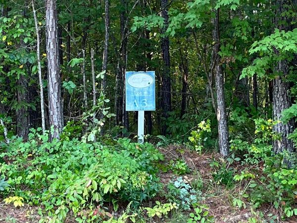205 River Overlook, Forsyth, GA 31029