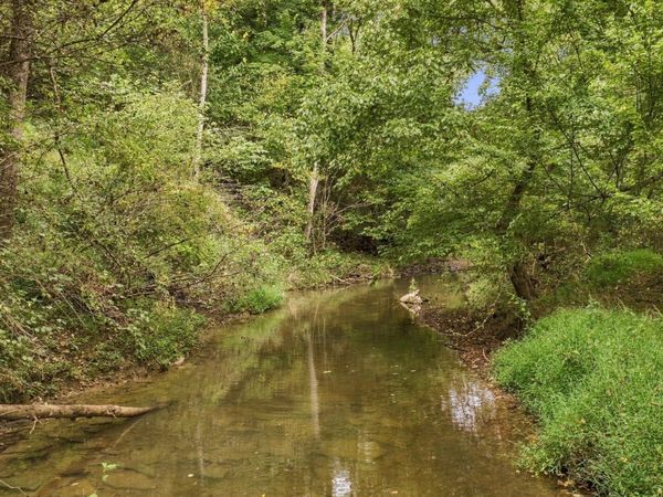 933 Harsh Lane, Castalian Springs, TN 37031