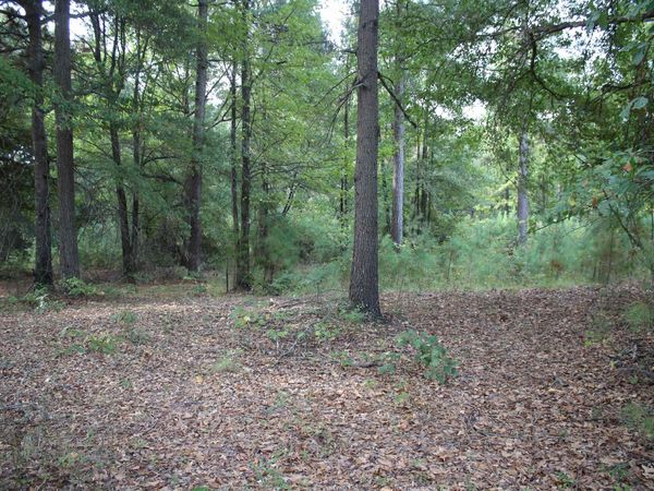 South Bingen Cir. , Nashville, AR 71852