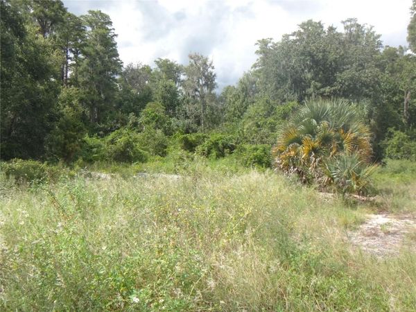 TAMARIND DRIVE , LAKE WALES, FL 33898