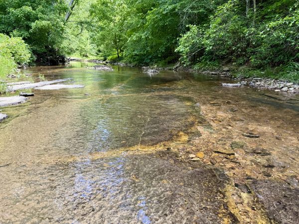 0 W Hunt Hollow Rd , Westpoint, TN 38486