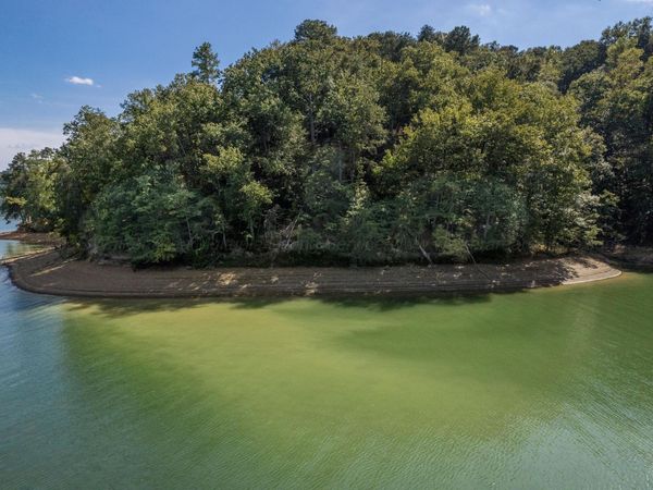 LOT 8 THE ENCLAVE AT SMITH LAKE, Crane Hill, AL 35053