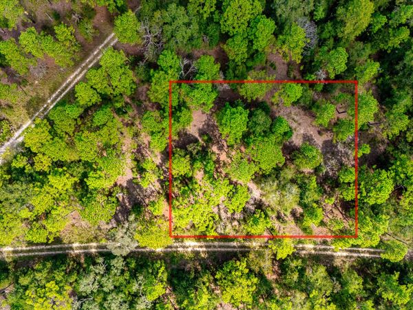 15515 SW 25th Place, Ocala, FL 34481