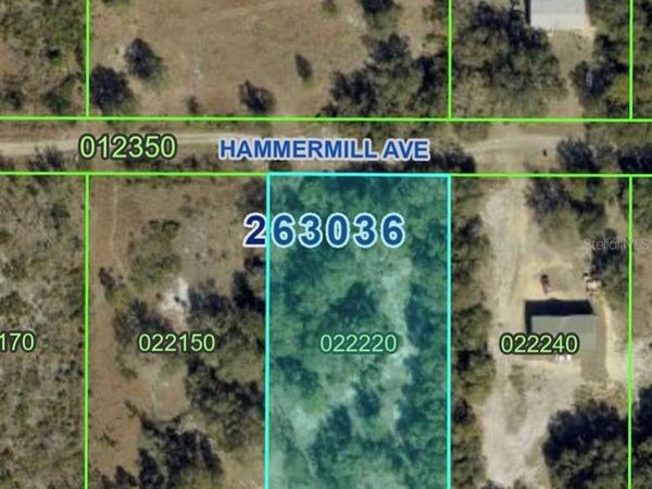 HAMMERMILL AVENUE, LAKE WALES, FL 33859