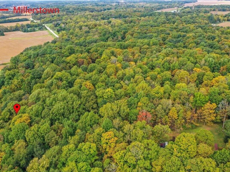 7340 Zimmerman Road, Saint Paris, OH 43072 Photo 45